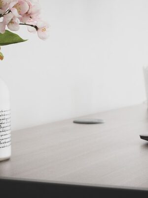 vase transparent blanc